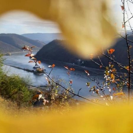 Ferienhaus Am Rheinsteig Kaub Buitenkant foto